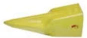 Tiger tooth